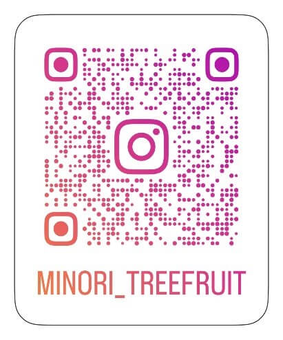 m.treefruit QRコード