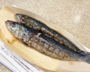 イワシイメージ