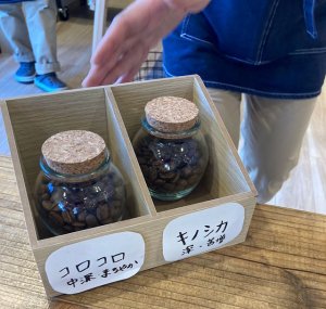 週イチカフェ珈琲イメージ