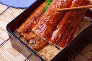 うなぎイメージ