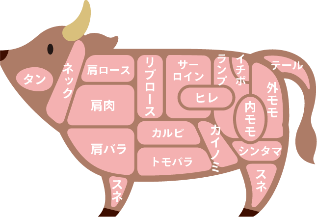 牛の部位イメージ