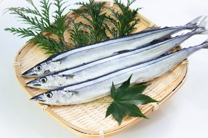 さんま イメージ