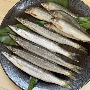 海鮮セット②（3枚合わせて3セット分の一例）