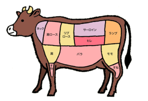 牛肉の部位