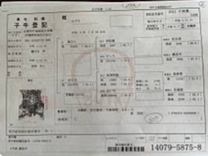 認証書類