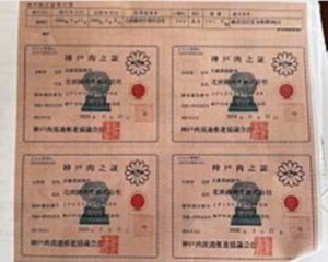 認証書類