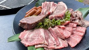 手ぶらでBBAパーティーセット