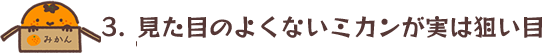 3.見た目のよくないみかんが実は狙い目