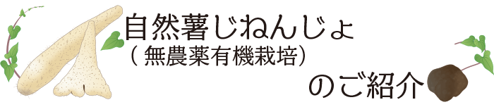 自然薯じねんじょ（無農薬有機栽培）のご紹介