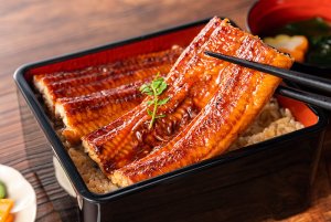 うなぎの蒲焼お重
