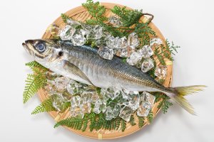 鯵イメージ
