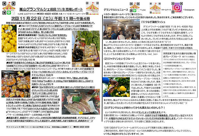 20251122_ポスティングチラシ