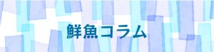 鮮魚コラム